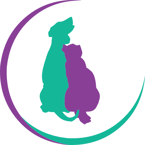 Mucky Paws Dog Grooming & Training